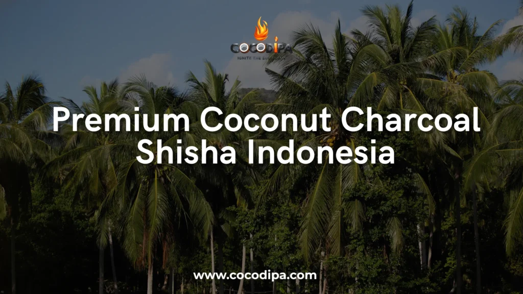 Premium Coconut Charcoal Shisha Indonesia